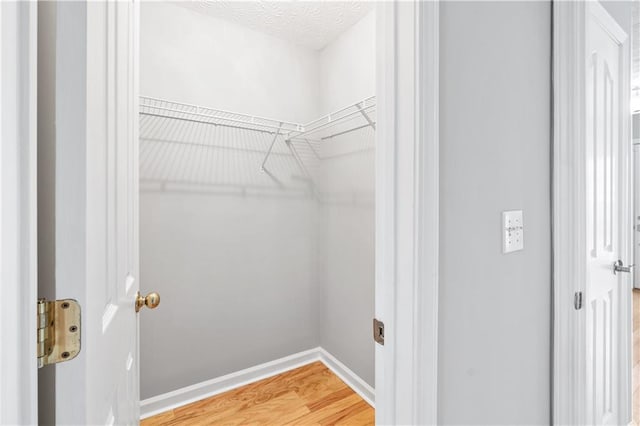 walk in closet with hardwood / wood-style flooring