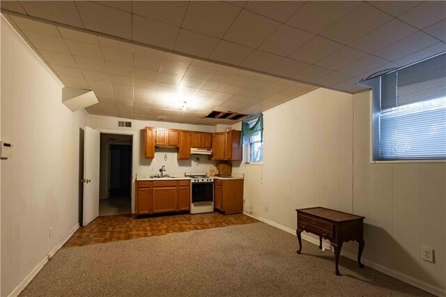 kitchen with dark colored carpet, white range, and sink