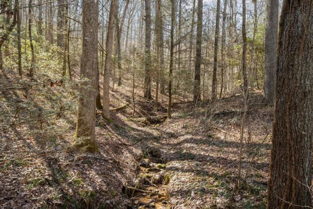 view of landscape with a view of trees