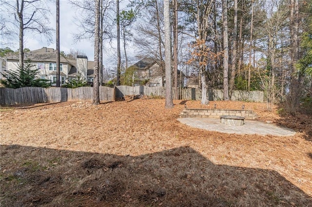 view of yard featuring a patio area