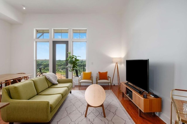 1195 Milton Ter SE Unit 1407, Atlanta, GA 30315 - living room with wood finished floors and baseboards