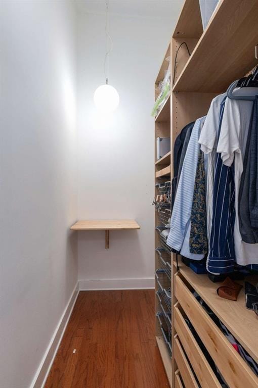 1195 Milton Ter SE Unit 1407, Atlanta, GA 30315 - spacious closet with wood finished floors