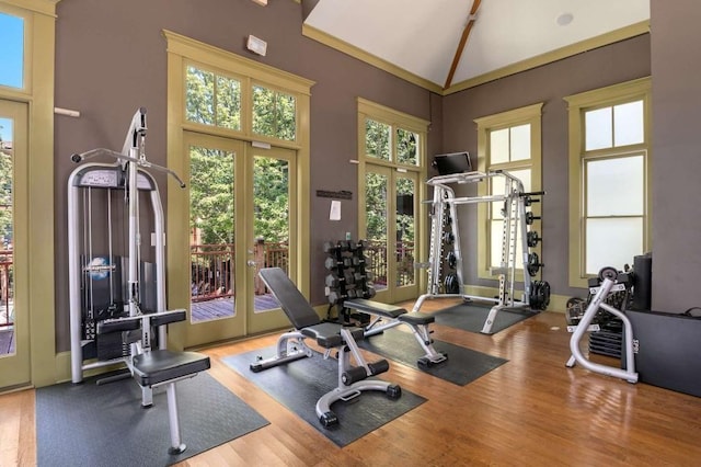 1195 Milton Ter SE Unit 1407, Atlanta, GA 30315 - gym featuring high vaulted ceiling, wood finished floors, and french doors