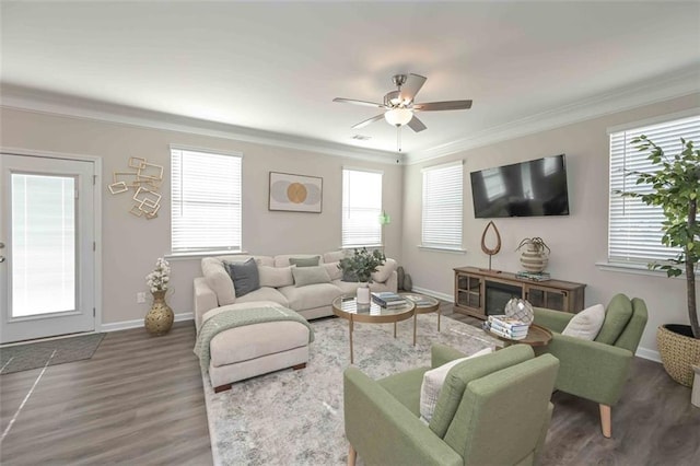 living room with crown molding, dark wood-type flooring, and ceiling fan