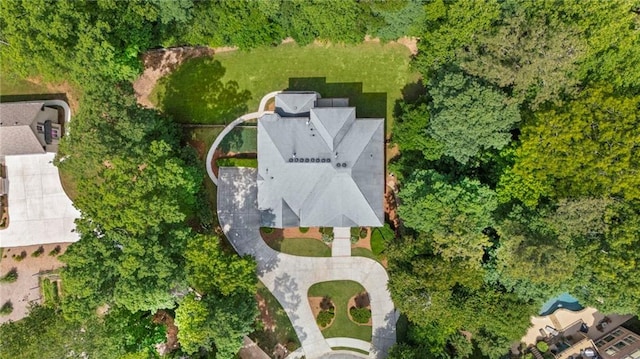 bird's eye view