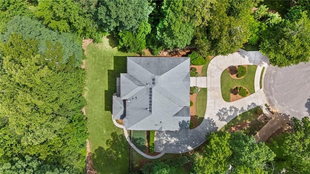 bird's eye view