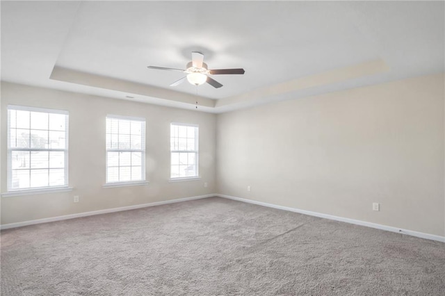 unfurnished room with a raised ceiling, carpet, and a wealth of natural light