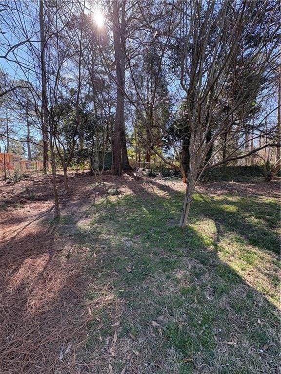 2807 Mcclave Dr, Doraville, GA 30340 - view of yard