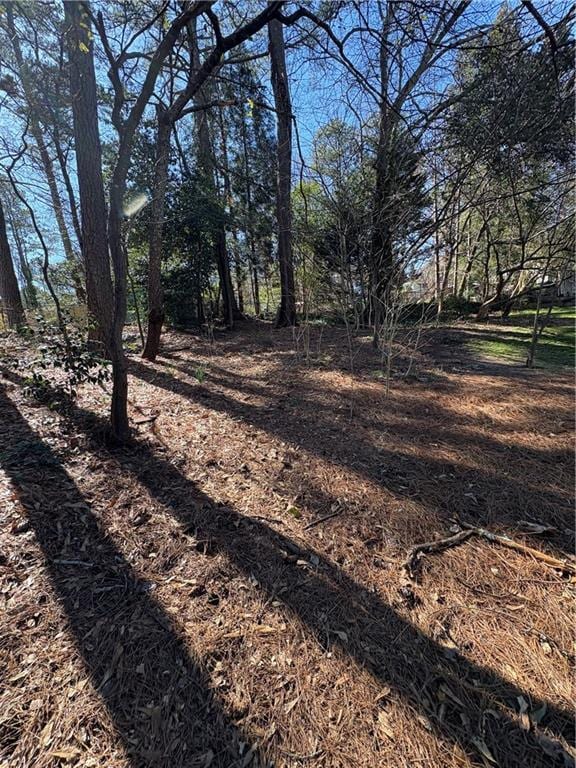 2807 Mcclave Dr, Doraville, GA 30340 - view of yard