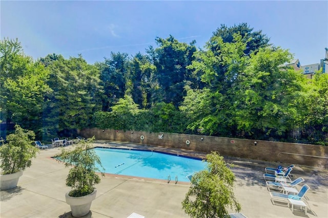 view of swimming pool featuring a patio