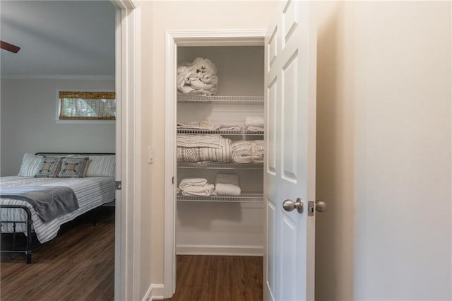 view of closet