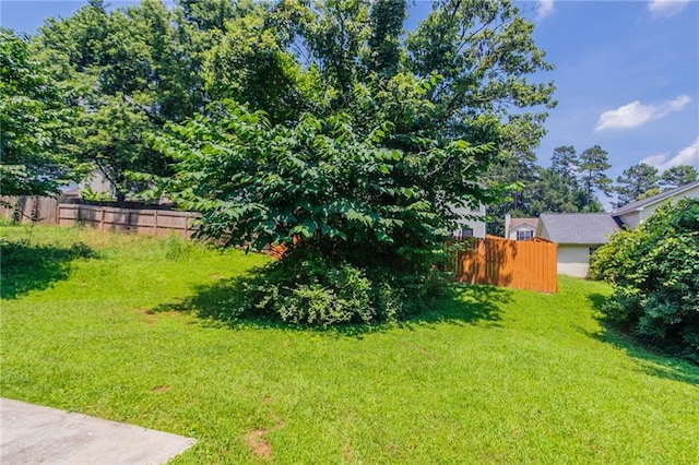 711 Ashley Ln, Stone Mountain, GA 30087 - view of yard