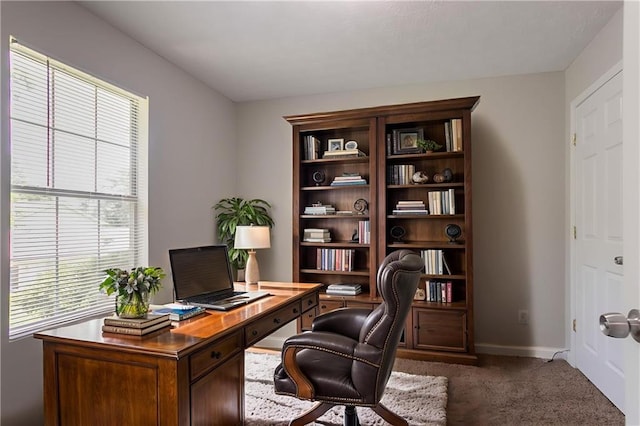 711 Ashley Ln, Stone Mountain, GA 30087 - office featuring carpet and baseboards