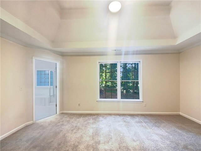 empty room with carpet and a raised ceiling