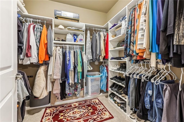 spacious closet with carpet