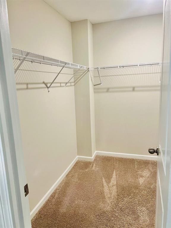 377 Fieldcrest Dr, Dallas, GA 30132 - spacious closet with carpet floors