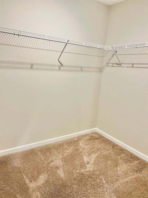 377 Fieldcrest Dr, Dallas, GA 30132 - walk in closet with carpet flooring