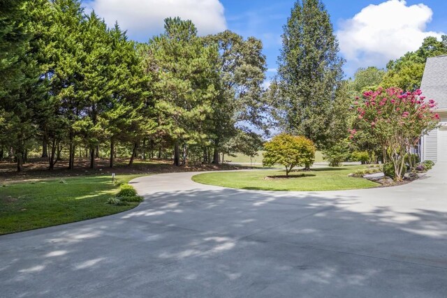 view of property's community featuring concrete driveway and a yard