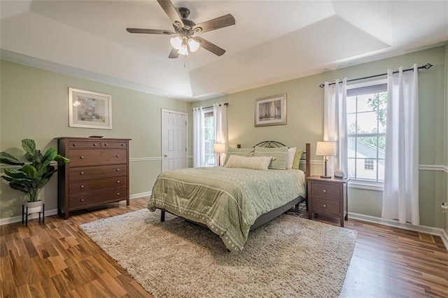 115 Oak Crest Ln, Dallas, GA 30132 - bedroom featuring a raised ceiling, multiple windows, and wood finished floors