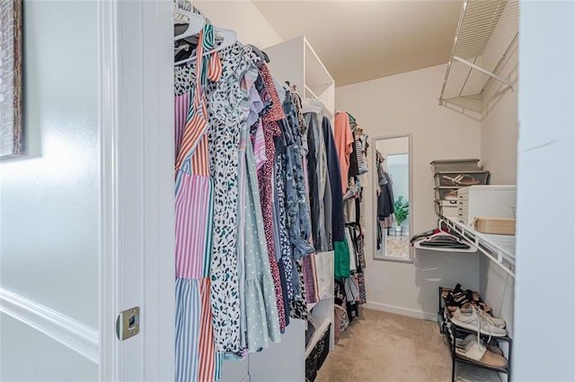 115 Oak Crest Ln, Dallas, GA 30132 - walk in closet featuring carpet flooring