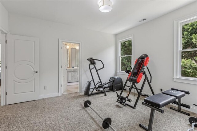 7540 Shadburn Ferry Rd, Cumming, GA 30041 - exercise area featuring plenty of natural light, carpet, and baseboards