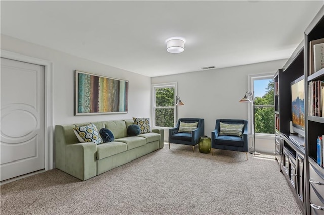 7540 Shadburn Ferry Rd, Cumming, GA 30041 - carpeted living area with healthy amount of natural light