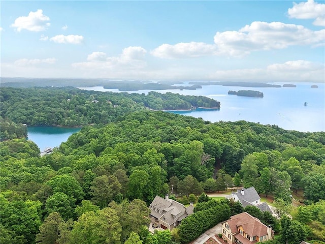 7540 Shadburn Ferry Rd, Cumming, GA 30041 - aerial view of a heavily wooded area and a nearby body of water