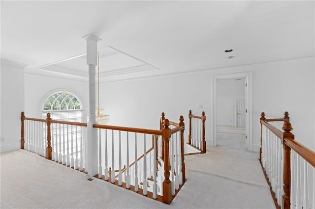 hallway featuring a tray ceiling and carpet floors
