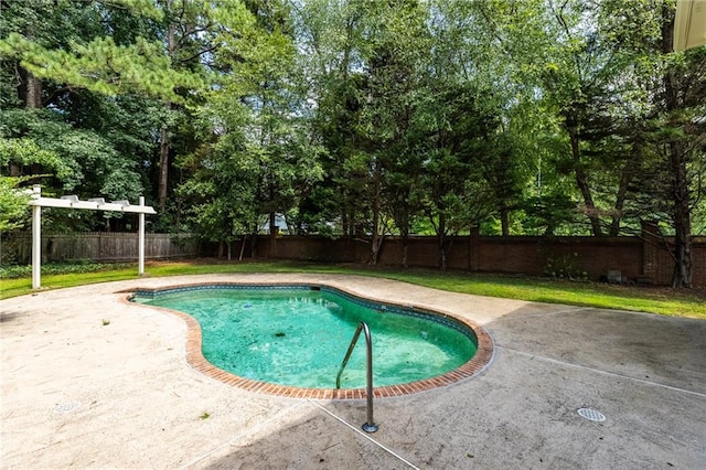 view of pool featuring a lawn and a patio area