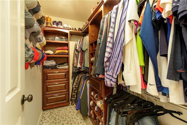 view of spacious closet