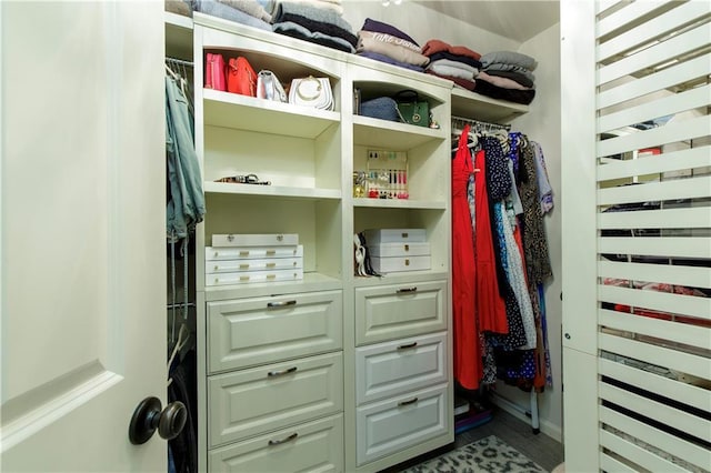 view of closet