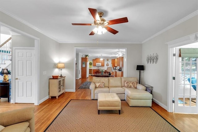 living area featuring light wood-style floors, baseboards, ceiling fan, and crown molding