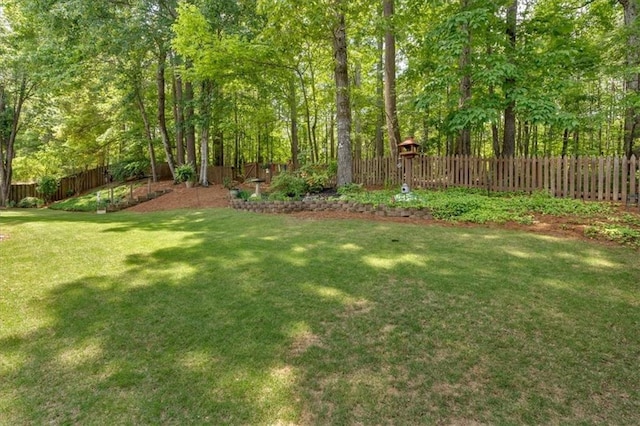 view of yard with a fenced backyard