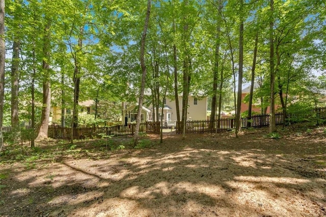 view of yard with a fenced front yard