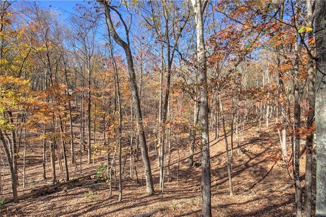 208 Trout Lily Trl, Big Canoe, GA 30143 - view of nature