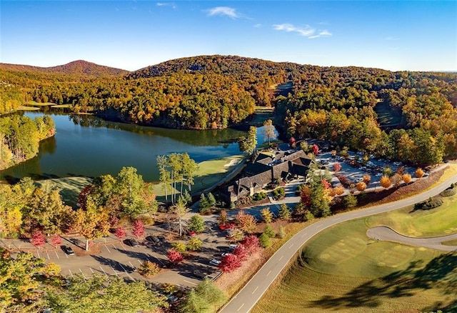 208 Trout Lily Trl, Big Canoe, GA 30143 - bird's eye view of a water and mountain view and a golf club
