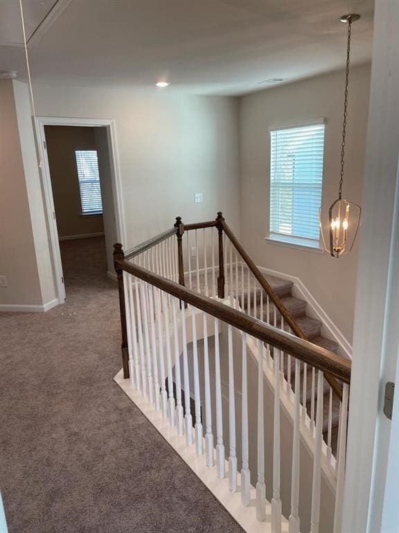 stairway with a healthy amount of sunlight and carpet flooring