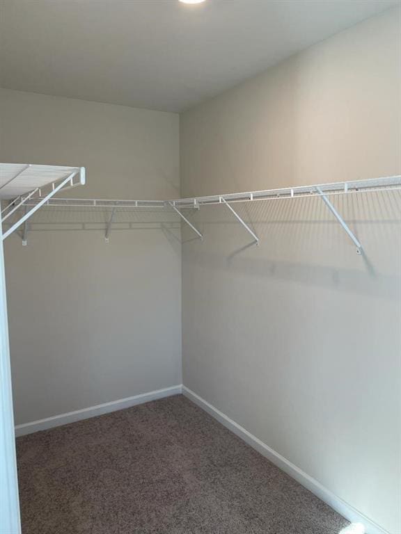 spacious closet featuring dark colored carpet