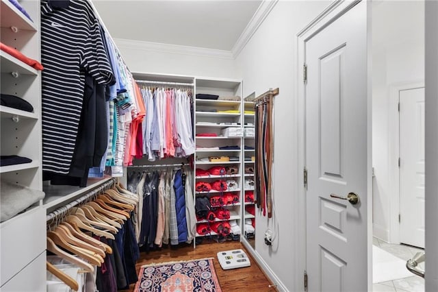 spacious closet featuring wood finished floors