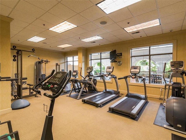 exercise room featuring carpet, visible vents, a drop ceiling, and baseboards