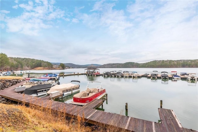 view of dock with a water view