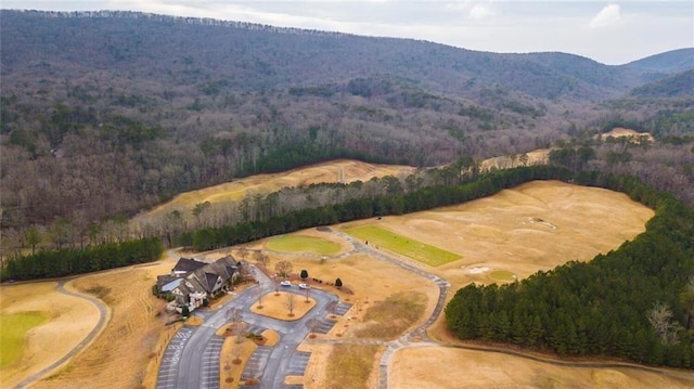 bird's eye view with a mountain view