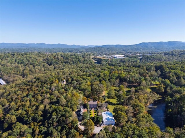 birds eye view of property featuring a mountain view