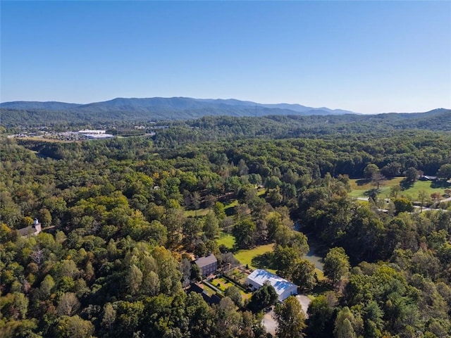 birds eye view of property with a mountain view