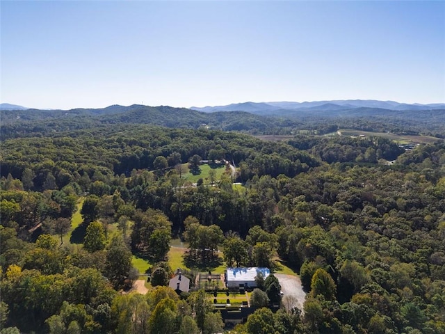 birds eye view of property with a mountain view