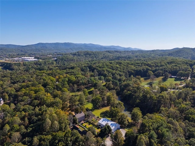 birds eye view of property with a mountain view