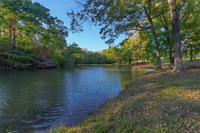 view of yard featuring a water view