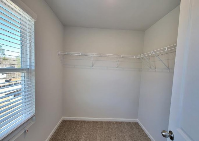 15 Fontana Ct, Covington, GA 30016 - spacious closet featuring carpet floors