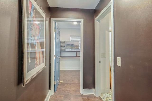 hall with hardwood / wood-style flooring