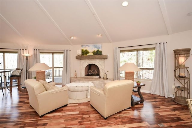 living room with vaulted ceiling, a fireplace, wood finished floors, and a wealth of natural light